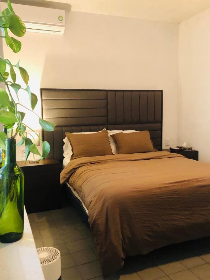 Leveli Coliving Hostel Guadalajara Buitenkant foto
