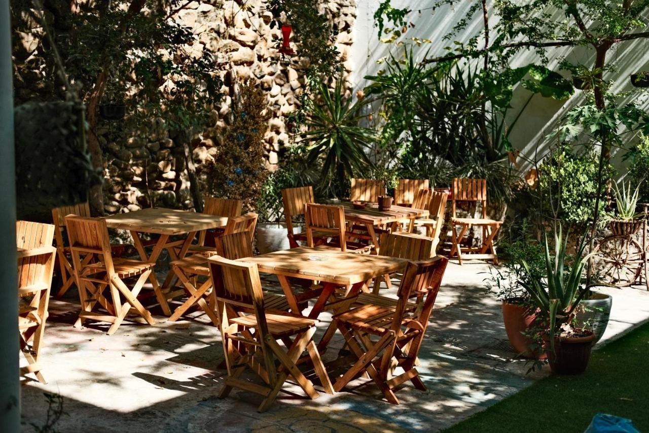 Leveli Coliving Hostel Guadalajara Buitenkant foto
